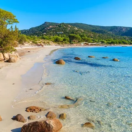 Maison Avec Piscine 6-8 Pers Corse Porto-vecchio Semesterbostad *